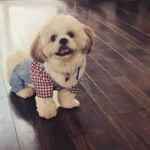 Meet your Posher, Suguna nadimpalli